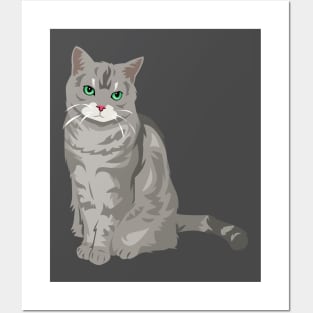 Grey Cat Posters and Art